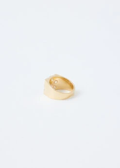 Mini Rose Garden Signet Ring -Style Haven Shop product incu 020 07b43722 4a91 40a0 aeb3 74a14ac12f55