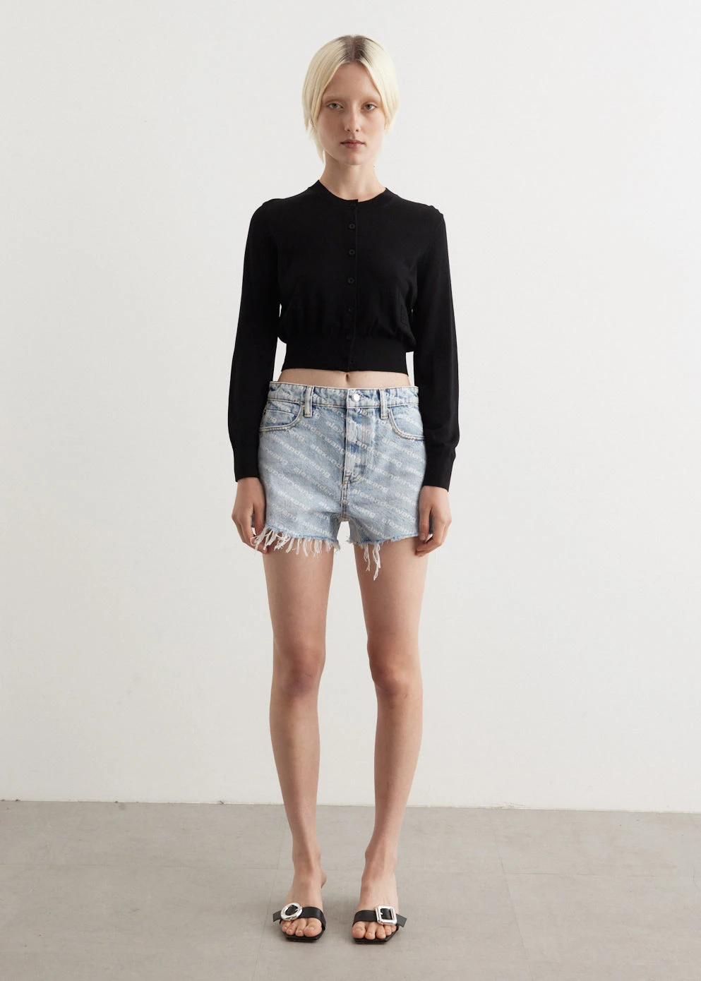 ALEXANDER WANG Bite Shorts 1 ALEXANDER WANG Bite Shorts