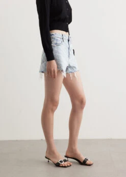 ALEXANDER WANG Bite Shorts 6 ALEXANDER WANG Bite Shorts -Style Haven Shop womens incu 1154 b6ed0f9d e659 46fc a7eb 041d21136462